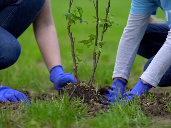 Nonprofit Savings Accounts